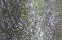 Bittles Green fibreglass roof work